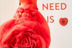 118-1-thumb-md 118-1-thumb-md